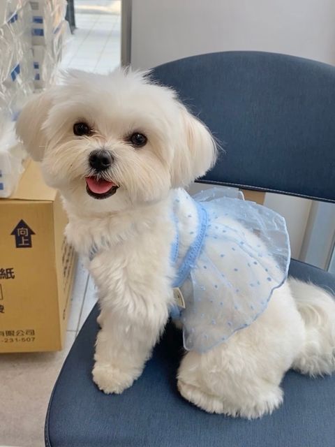 IMG_2924-1712989658741