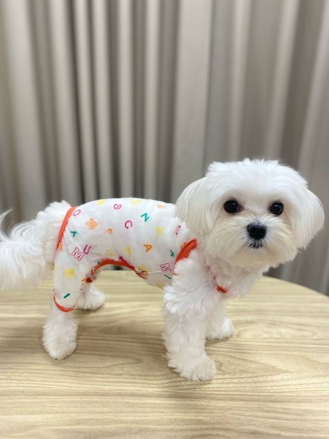 IMG_3022-1712994473391