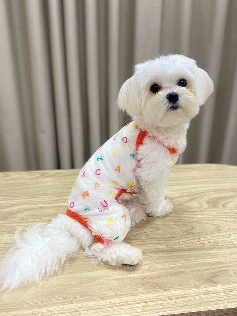 IMG_3019-1712994556368