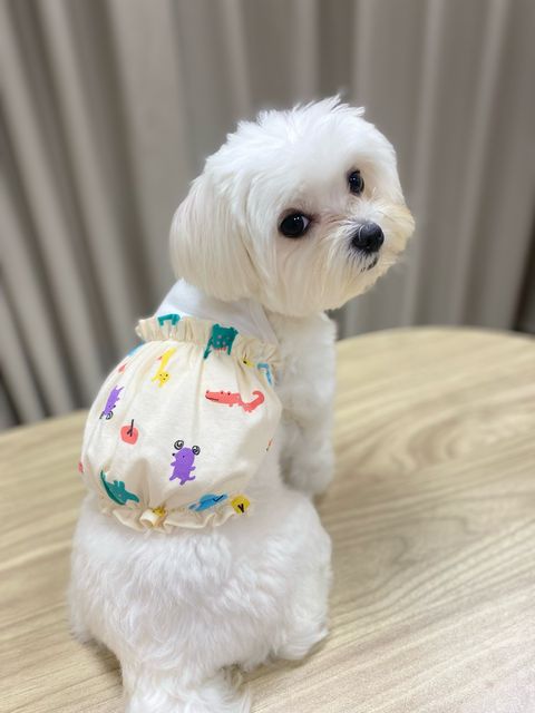 IMG_3042-1712996514674