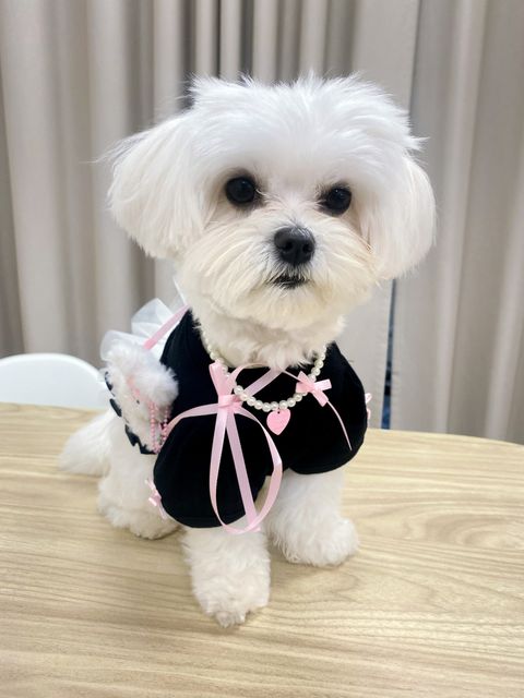 IMG_3363-1713333798796