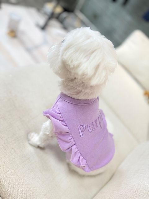 IMG_3418-1713341335693