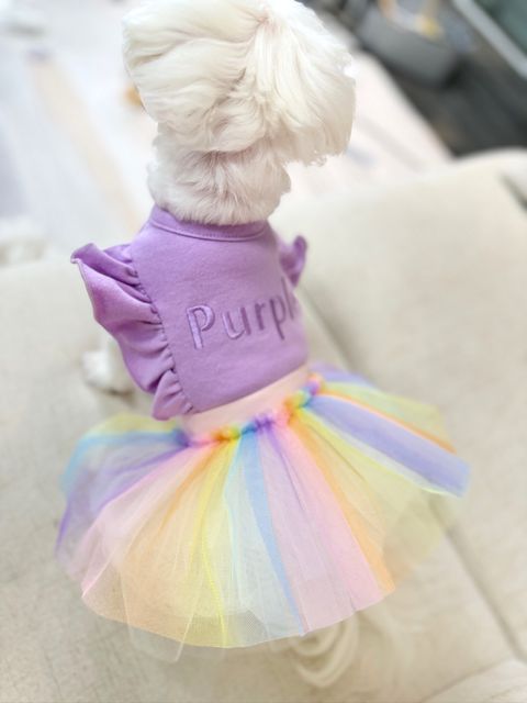 IMG_3420-1713341398075