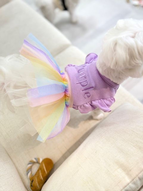 IMG_3422-1713341398105