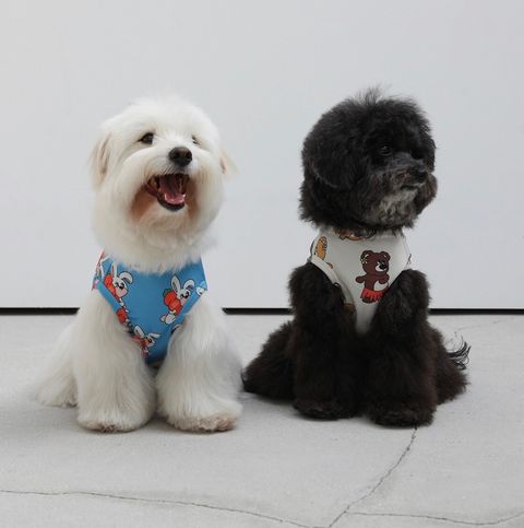 LINE_ALBUM_Andblank_240426_9