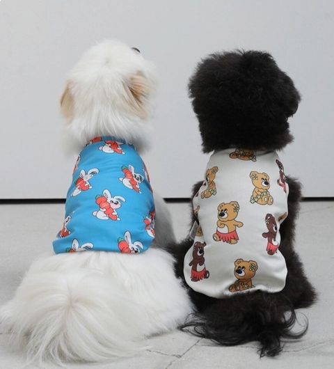 LINE_ALBUM_Andblank_240426_14