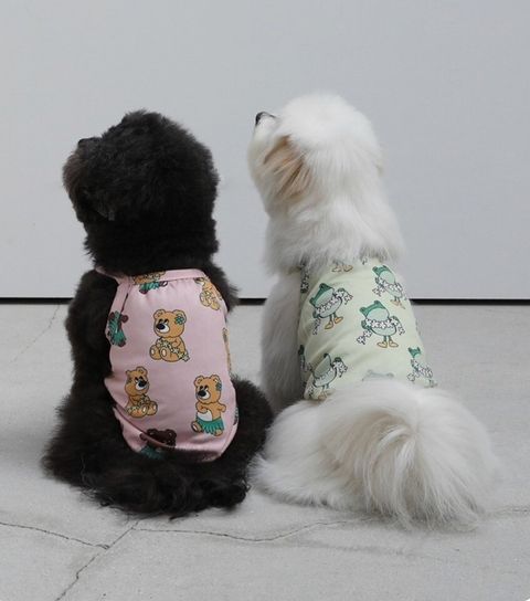 LINE_ALBUM_Andblank_240426_73