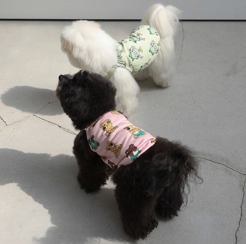 LINE_ALBUM_Andblank_240426_61