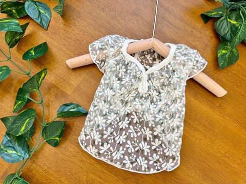 LINE_ALBUM_Zoobico_240501_24