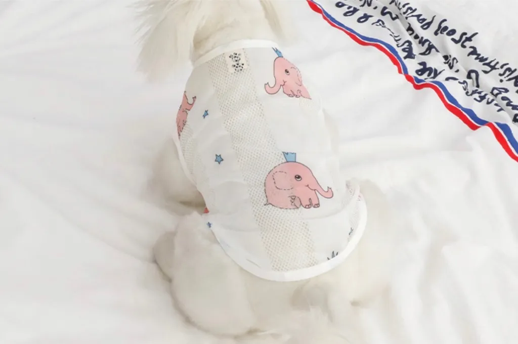 LINE_ALBUM_U_pet_240502_83
