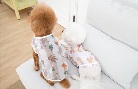 LINE_ALBUM_U_pet_240502_89