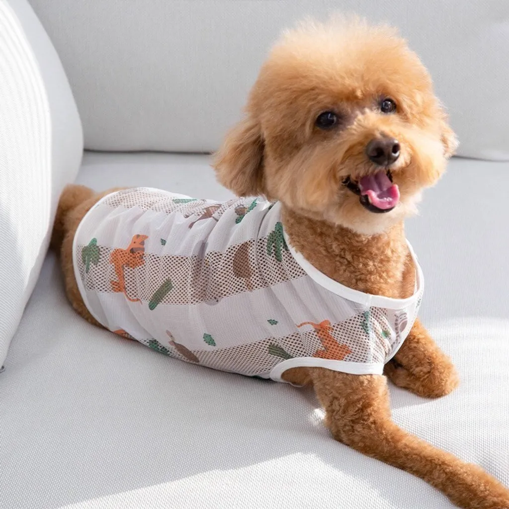 LINE_ALBUM_U_pet_240502_103