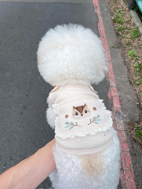 FBB55353-E2D1-4CAC-B918-78403F9882A8-1714782299760