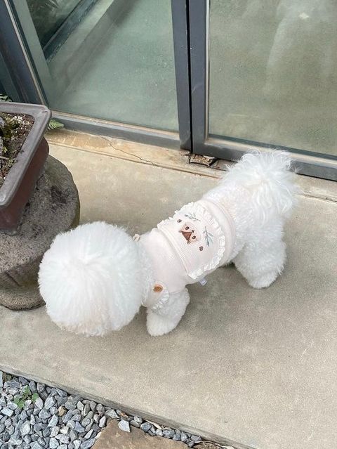 D5EF3F24-DEA1-4001-B46D-6FCEC9B675D0-1714782340927