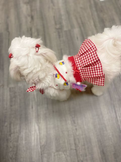 IMG_5471-1715303564784