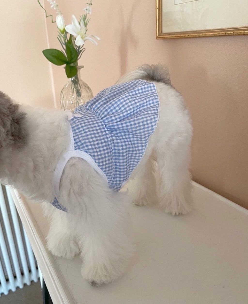 LINE_ALBUM_Near n dear_240510_140