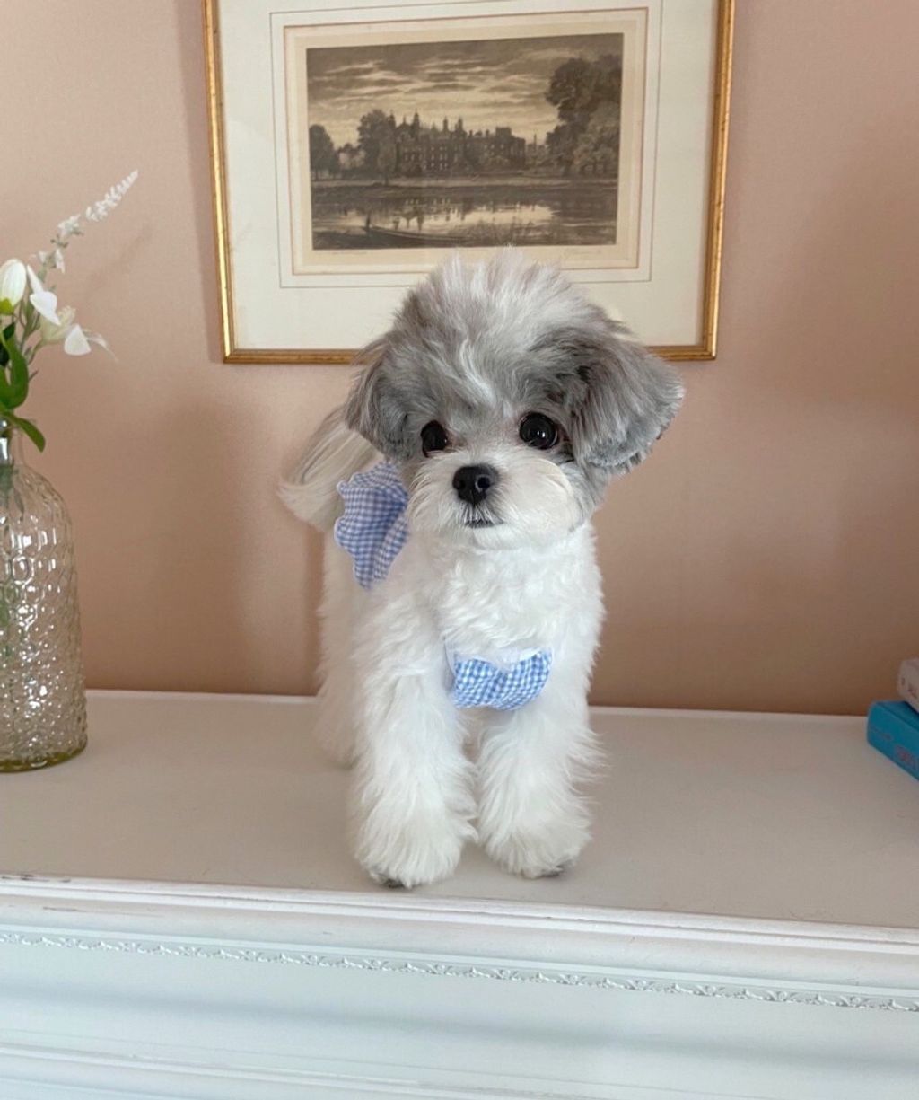 LINE_ALBUM_Near n dear_240510_143