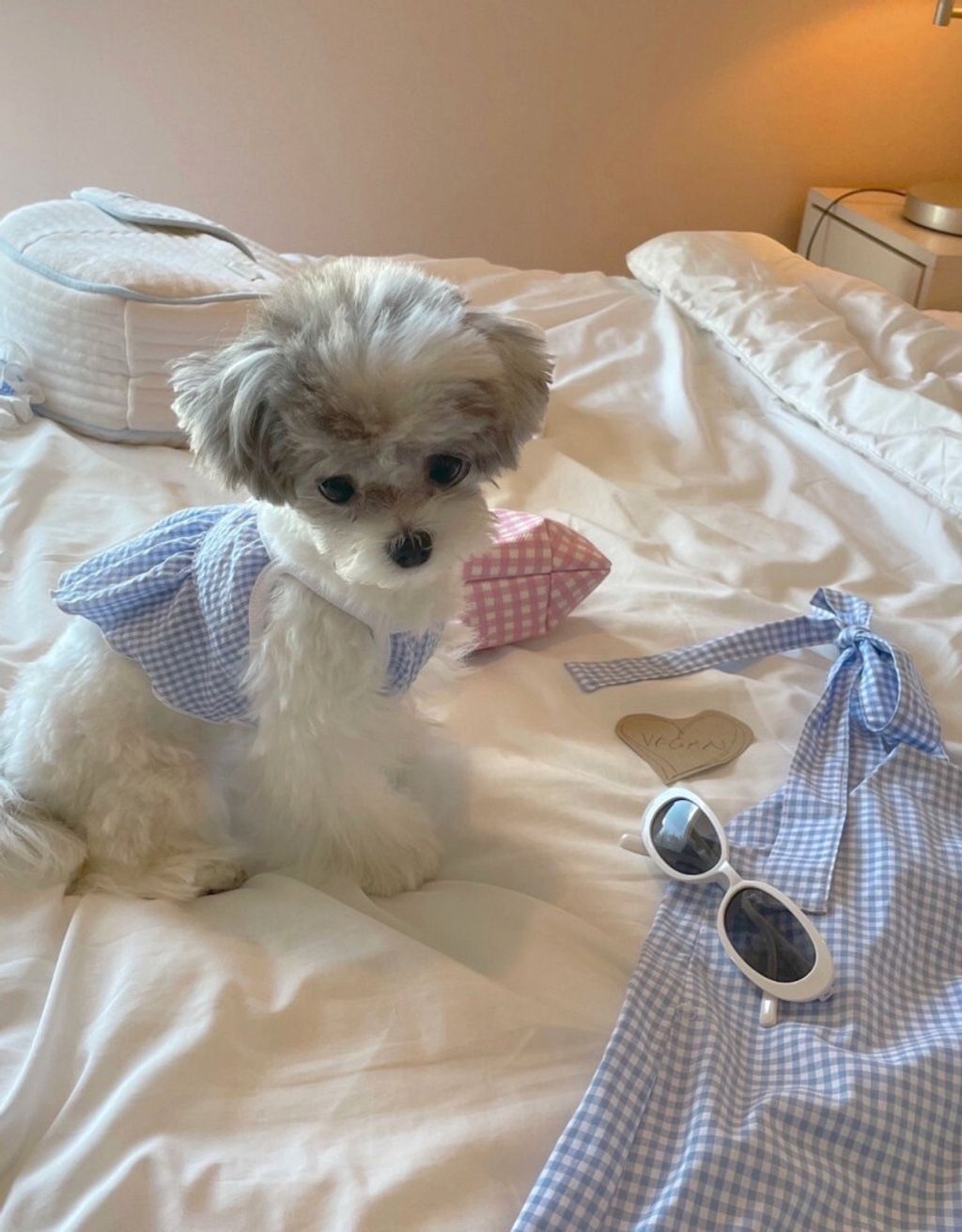 LINE_ALBUM_Near n dear_240510_141