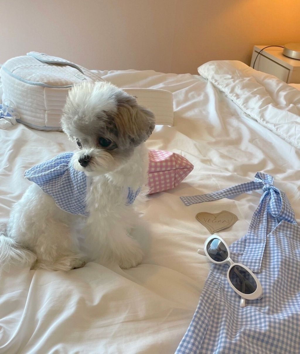 LINE_ALBUM_Near n dear_240510_145