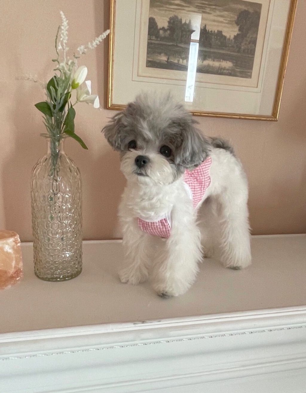 LINE_ALBUM_Near n dear_240510_135