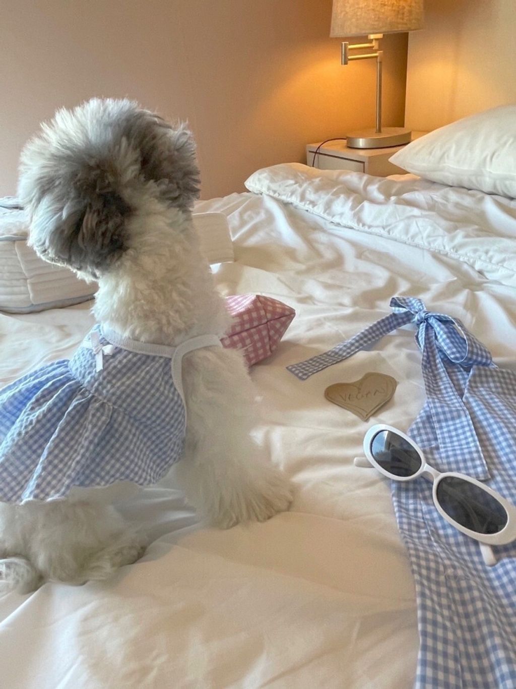 LINE_ALBUM_Near n dear_240510_144