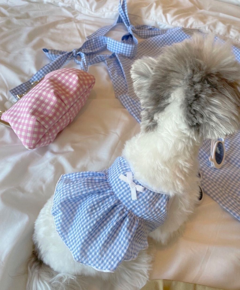 LINE_ALBUM_Near n dear_240510_139