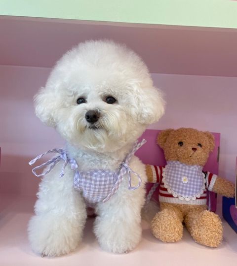 LINE_ALBUM_Near n dear_240510_177