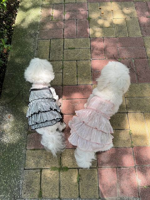 LINE_ALBUM_Nounnou_240511_244