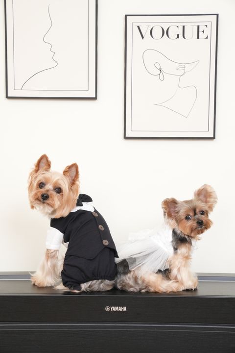 IMG_5724-1715462826872