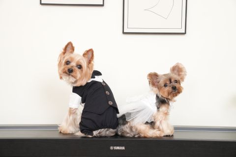 IMG_5723-1715462826880