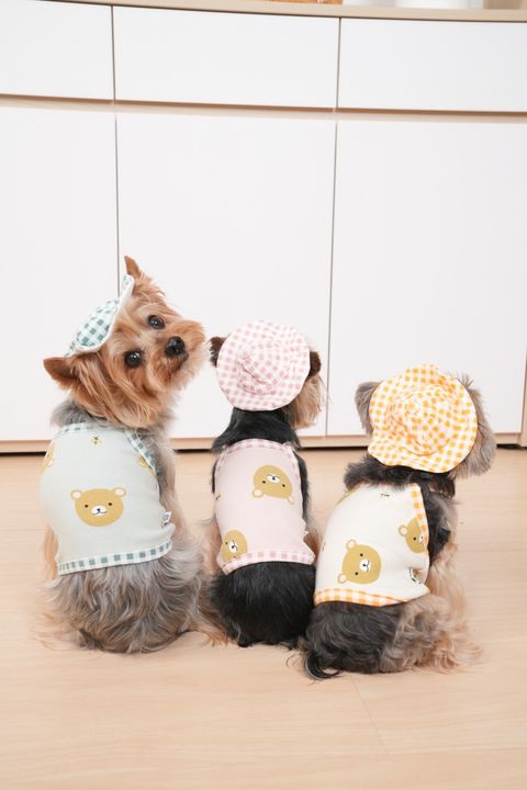 1599978D-3EC9-4BF7-B997-29E8F4B1E352-1716820806033