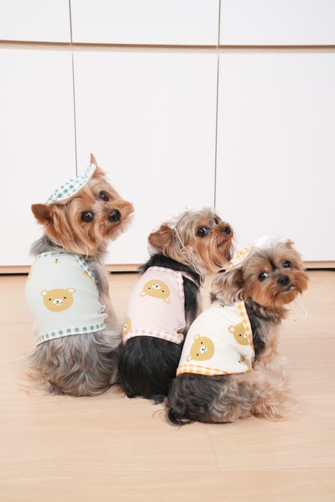 5C8B438F-5A6B-4645-AC3F-4D70939EB136-1716820806046