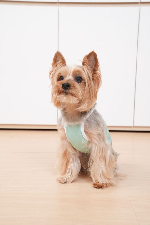 72D56E00-5C5B-49CE-B938-FB9763C0470B-1716821115062