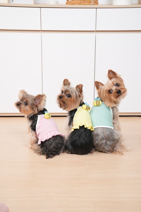 03AECFB2-DDAF-4955-80D8-1A66D2737675-1716821115093