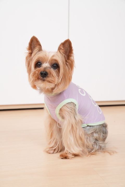 D7257CA4-5D19-43FD-B92C-73A662D01794-1716821315063