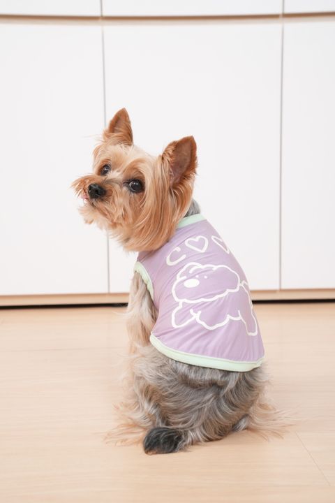 F46668BC-93A1-4897-8776-73BE1C1D9420-1716821315070