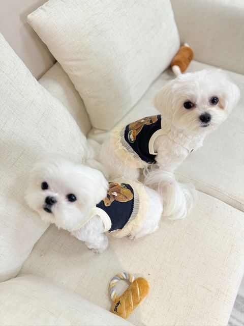 IMG_7770-1716970697879