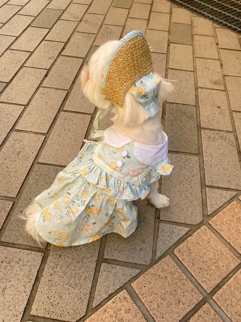 IMG_7800-1716981478163