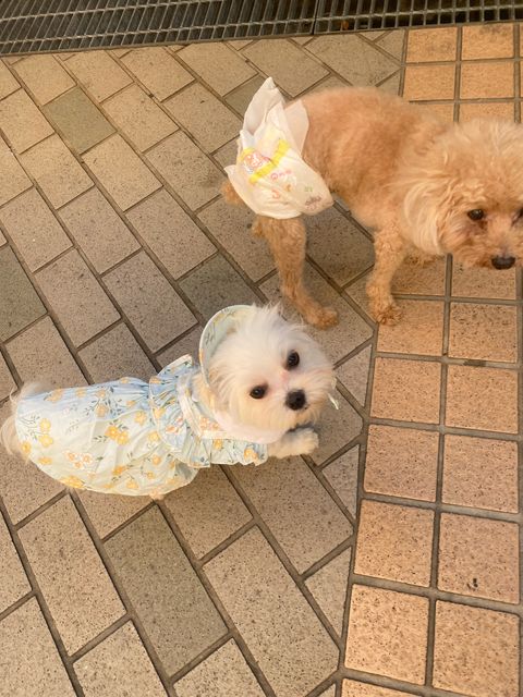 IMG_7801-1716981479016