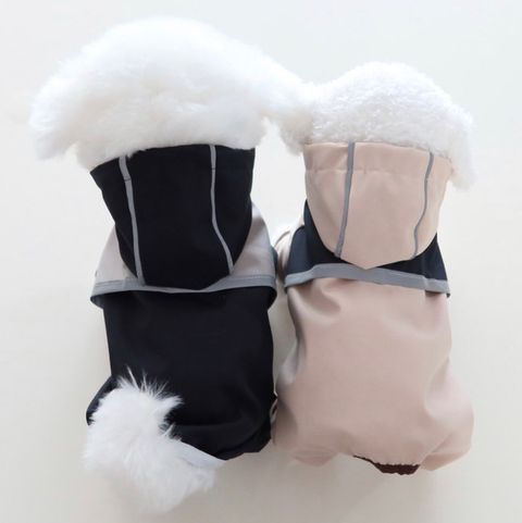 LINE_ALBUM_Honneydog_240529_4