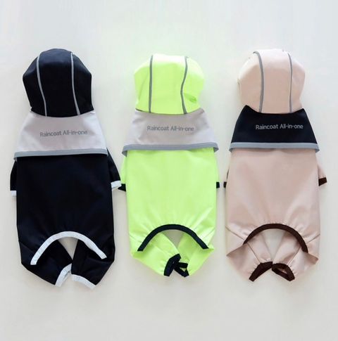 LINE_ALBUM_Honneydog_240529_19