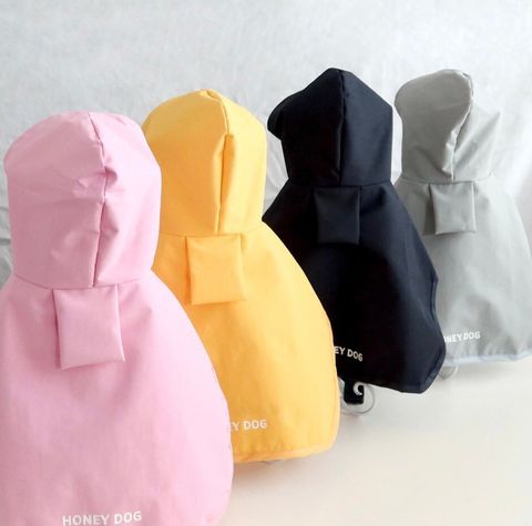 LINE_ALBUM_Honneydog_240531_8