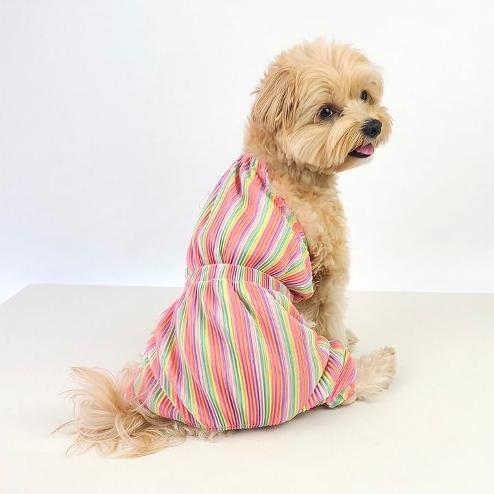 LINE_ALBUM_Grooming dog_240531_48