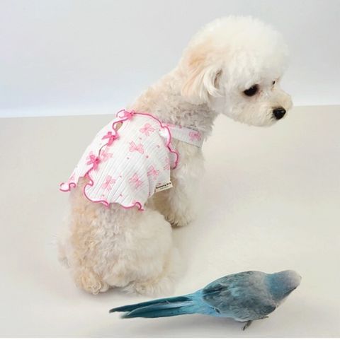 LINE_ALBUM_Grooming dog_240531_41