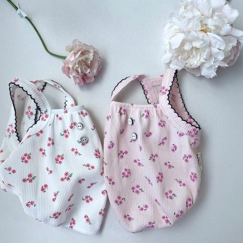 LINE_ALBUM_Grooming dog_240531_17