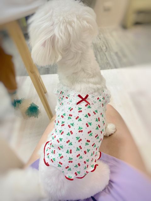 IMG_8169-1717164886812