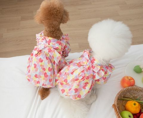 LINE_ALBUM_U_pet_240601_38