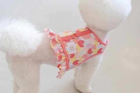 LINE_ALBUM_U_pet_240601_3