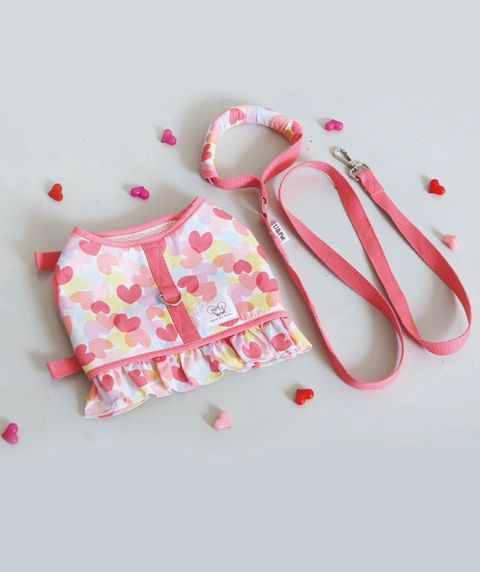 LINE_ALBUM_U_pet_240601_23