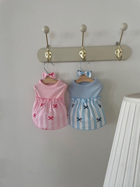 LINE_ALBUM_Dear meong_240601_19